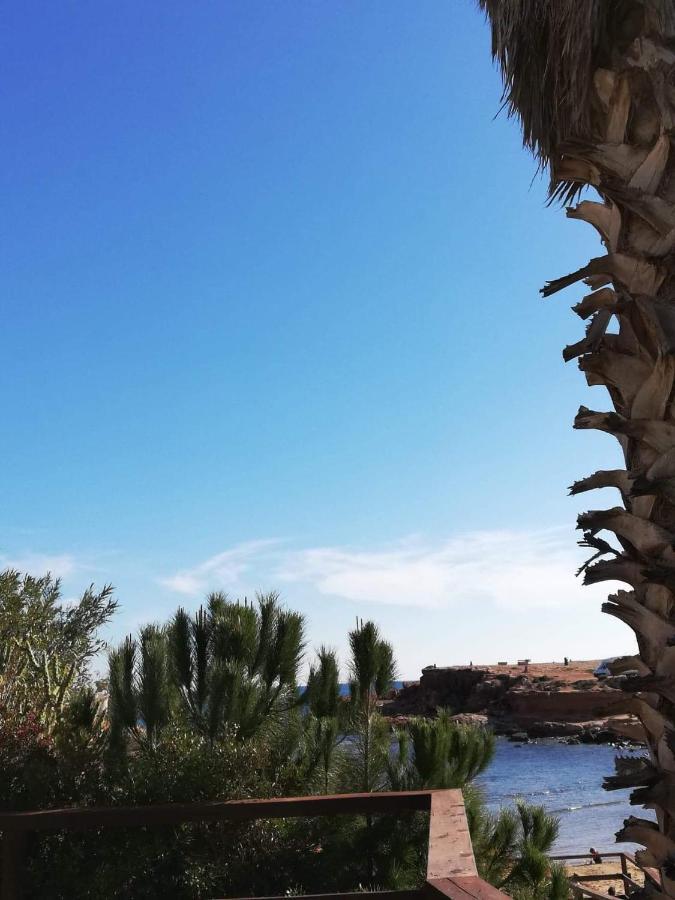 Perfect For Exploring Local Areas And More Torrevieja Exterior foto